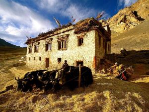 Traditional Ladakhi House (Leh Ladakh Tour)